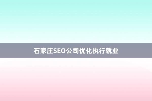 石家庄SEO公司优化执行就业