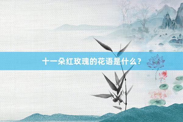 十一朵红玫瑰的花语是什么？